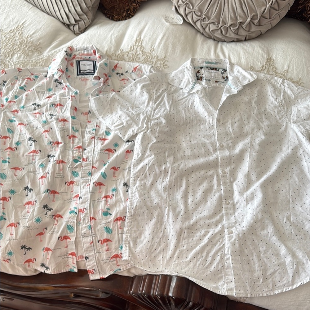Tropical Flamingo and Polka Dot Men's Casual Shirts